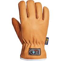 Endura&reg; Gloves, Large, Synthetic Palm, Thinsulate Inner Lining Pathway Supply LP
