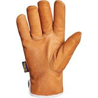 Endura&reg; Gloves, Large, Synthetic Palm, Thinsulate Inner Lining Pathway Supply LP