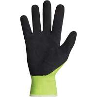 Dexterity&reg; Coated Gloves, 10, Latex Coating, 13 Gauge, Polyester Shell Pathway Supply LP