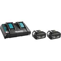 Charger and Battery Kit Pathway Supply LP