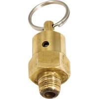Viton&reg; Pressure Relief Valve Pathway Supply LP