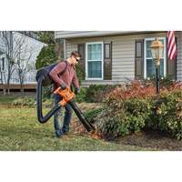 3-in-1 VacPack Leaf Blower/Vacuum/Mulcher, 250 MPH Output, Electric Pathway Supply LP
