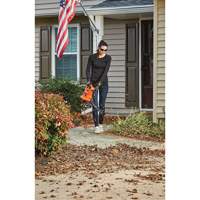 3-in-1 VacPack Leaf Blower/Vacuum/Mulcher, 250 MPH Output, Electric Pathway Supply LP