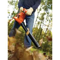 High Performance Leaf Blower/Vacuum/Mulcher, 250 MPH Output, Electric Pathway Supply LP