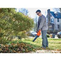 Leaf Blower, 180 MPH Output, Electric Pathway Supply LP