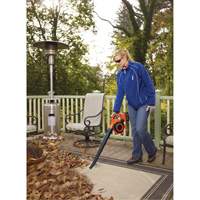 Max* Cordless Sweeper/Vacuum Kit, 40 V, 120 MPH Output, Battery Powered Pathway Supply LP