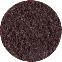 Standard Abrasives Surface Conditioning Discs, 2" Dia., Coarse Grit Pathway Supply LP