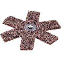 Scotch-Brite Sanding Star Pathway Supply LP