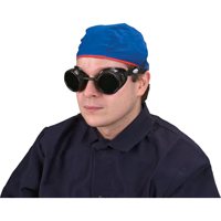 Lunettes &agrave; coque, Lentille 5,0, Anti-&eacute;gratignures, Ventilation Ferm&eacute; Pathway Supply LP