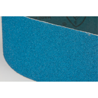 Courroie abrasive bleu Pathway Supply LP