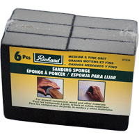 Sanding Sponge Pathway Supply LP