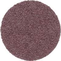 PSA Cloth Disc 348D, 20" Dia., 60 Grit, Aluminum Oxide Pathway Supply LP