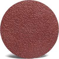3M 782C Roloc Sanding Disc, 2" Dia., 36+ Grit, Ceramic Pathway Supply LP