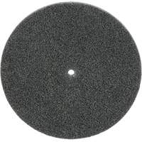 Meule unitaris&eacute;e EXL Scotch-Brite, 5" x 1/4", Arbre de 1/4", Grain de Fin, Carbure de silicium Pathway Supply LP