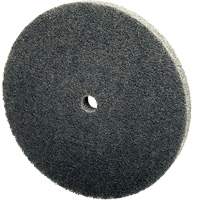 Meule unitaris&eacute;e EXL Scotch-Brite, 3" x 1/4", Arbre de 1/4", Grain de Fin, Carbure de silicium Pathway Supply LP