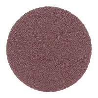 PSA Cloth Disc, 2" Dia., 80 Grit, Aluminum Oxide Pathway Supply LP