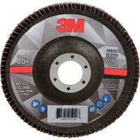 Flap Discs