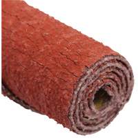 Specialty Non-Woven Abrasives