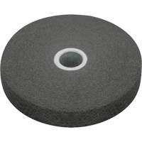 Scotch-Brite EXL Unitized Wheel, 4" x 1/4", 1/4" Arbor, Fine Grit, Silicon Carbide Pathway Supply LP