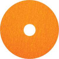 BlazeX F980 Fiber Disc, Ceramic Alumina, 36, 5" Dia x 7/8" Arbor Pathway Supply LP