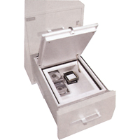 Data Protection Media Safes Pathway Supply LP