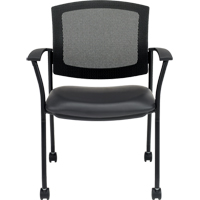 Ibex Guest Chairs Pathway Supply LP