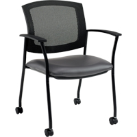 Ibex Guest Chairs Pathway Supply LP