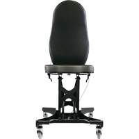 Flex III Ergonomic Chair Pathway Supply LP