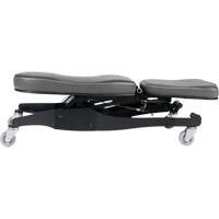 Flex III Ergonomic Chair Pathway Supply LP
