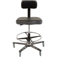 TF160 Industrial Grade Ergonomic Chair, Mobile, Adjustable, 20-1/2" - 28-1/2", Vinyl Seat, Black/Grey Pathway Supply LP