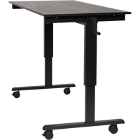Adjustable Stand-Up Desk, Stand-Alone Desk, 48-1/2" H x 59" W x 29-1/2" D, Black Pathway Supply LP