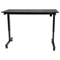 Adjustable Stand-Up Desk, Stand-Alone Desk, 45-1/4" H x 29-1/2" D, Black Pathway Supply LP