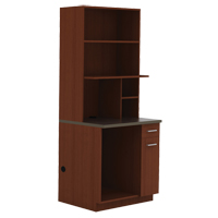 Modular Cabinet, Melamine, 39" H x 36" W x 25" D, Mahogany Pathway Supply LP