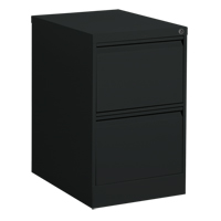 Vertical Filing Cabinet, Steel, 2 Drawers, 18-1/7" W x 25" D x 29" H, Black Pathway Supply LP