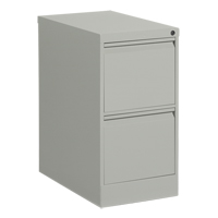 Vertical Filing Cabinet, Steel, 2 Drawers, 15-1/7" W x 25" D x 29" H, Grey Pathway Supply LP