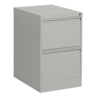 Vertical Filing Cabinet, Steel, 2 Drawers, 18-1/7" W x 25" D x 29" H, Grey Pathway Supply LP