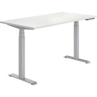 Newland Height-Adjustable Rectangular Table Pathway Supply LP