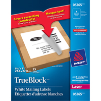 TrueBlock Laser Shipping Labels, 11" W x 8.5" L, White Pathway Supply LP