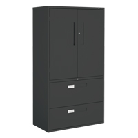 Multi-Stor Cabinet, Steel, 3 Shelves, 65-1/4" H x 36" W x 18" D, Black Pathway Supply LP