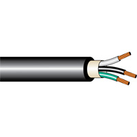 Armoured Copper Cable, AC90 12/2 AWG 600V Pathway Supply LP
