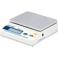 Economy Precision Scales, 2000 g Cap., 1 g Graduations Pathway Supply LP