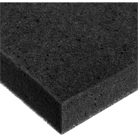 Feuille de mousse, Standard, &eacute;paisseur 2", 108" lo x 24" la Pathway Supply LP