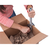 Carton Sizer Pathway Supply LP