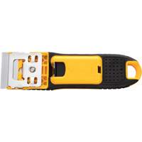 Glass Scraper Pathway Supply LP