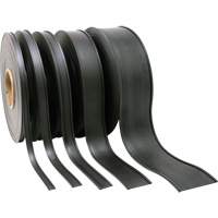 Card Holder, Magnetic, 600" L x 2" W Pathway Supply LP