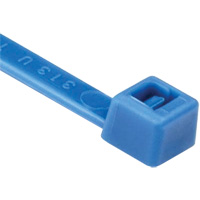 T Series Cable Ties, 8" Long, 50 lbs. Tensile Strength, Blue Pathway Supply LP