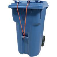 Bungee Cord Tie Downs, 18" Pathway Supply LP