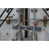 High Security Security Seal, 12", Metal, Cable Seal Pathway Supply LP