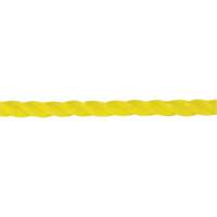 1/4" Braided Yellow Rope, Polypropylene, 1300' Pathway Supply LP