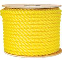 5/8" Braided Yellow Rope, Polypropylene, 200' Pathway Supply LP
